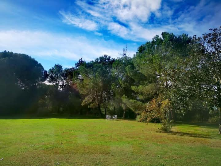 Printemps Quatre Saisons Διαμέρισμα Μπερζεράκ Εξωτερικό φωτογραφία